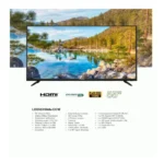 شاشة ٥٥ بوصة