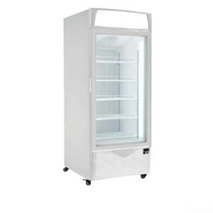 فريزر واقف بانكول باب زجاجى- ستيل LD67-FD