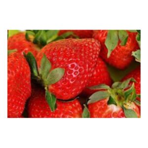 فريزر واقف بانكول 3 باب مغلق - ستيل MBF8003