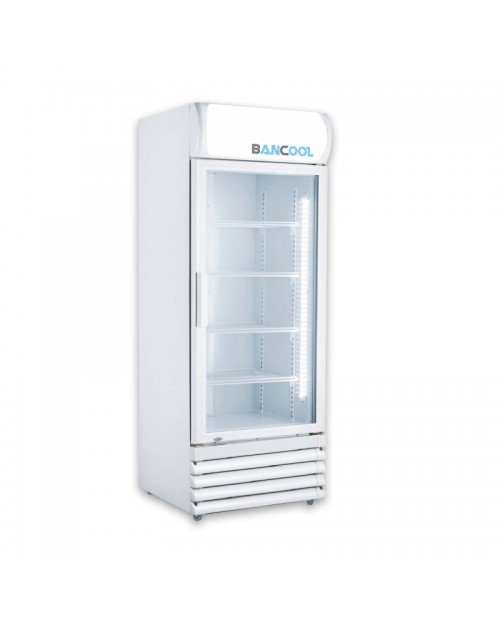 ثلاجة عرض باب واحد بانكول دواجن 400 لتر - أبيض
