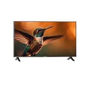 شاشة 55 بوصة