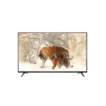 شاشة تليزون