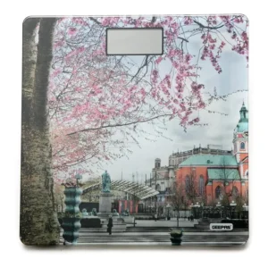 ميزان الجسم