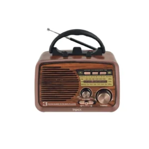 راديو صغير محمول